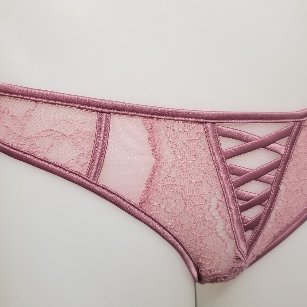 VS Dream Angels Rose Lace & Mesh Cheekini NWT - Picture 3 of 10
